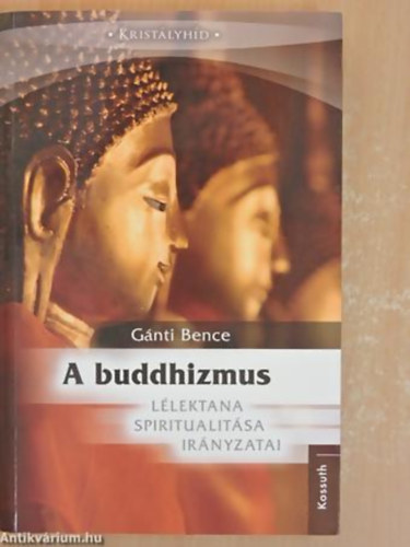 A Buddhizmus llektana, spiritualitsa s irnyzatai