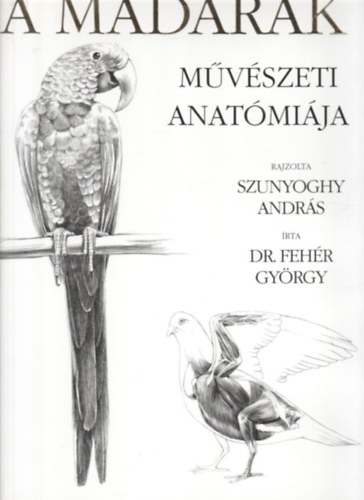 A madarak mvszeti anatmija
