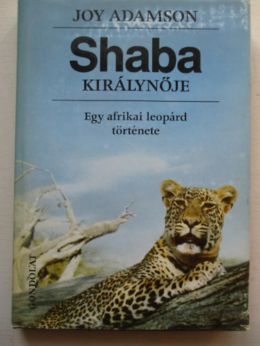 Shaba kirlynje - Egy afrikai leoprd trtnete