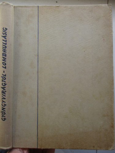 Gyngyvirgtl lombhullsig