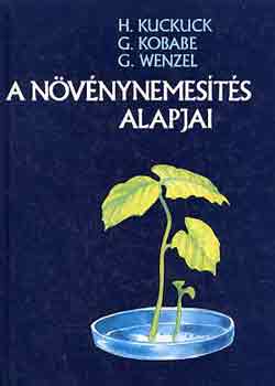 A n�v�nynemes�t�s alapjai