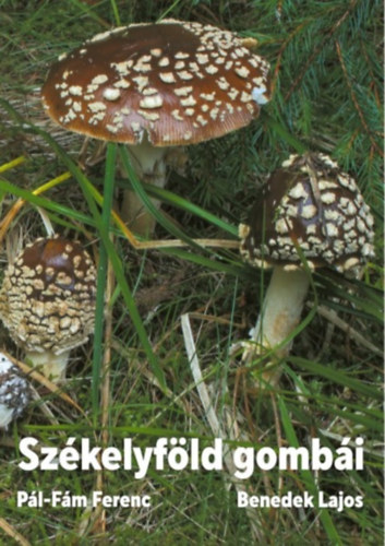 Sz�kelyf�ld gomb�i