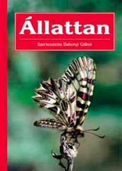 llattan