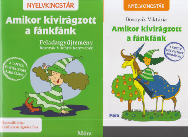 Amikor kivirgzott a fnkfnk + Feladatgyjtemny (2 m)