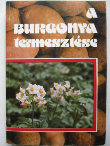 A burgonya termesztse