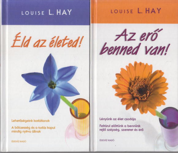 2 db Louise L. Hay m: ld az leted! + Az er benned van!
