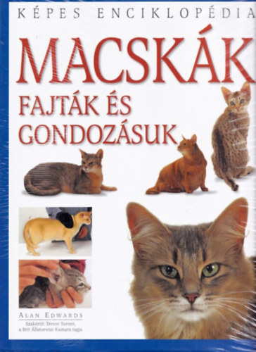 Macskk - Kpes enciklopdia - Fajtk s gondozsuk