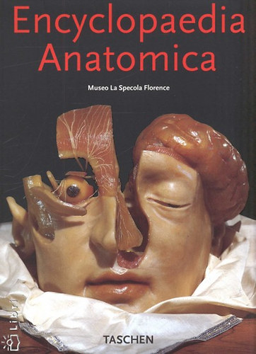 Encyclopaedia Anatomica - Museo La Specola Florence