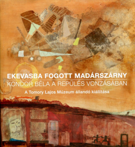 Ekevasba fogott madrszrny - Kondor Bla a repls vonzsban