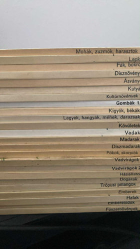 24 db a bvr zsebknyvek sorozatbl