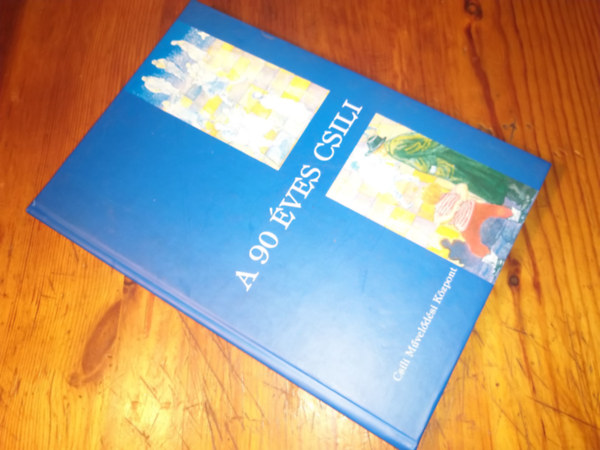 A 90 �ves CSILI