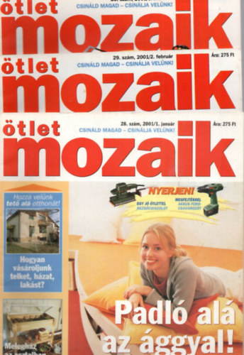 tlet Mozaik 2001. vf. ( 1 -12. szm - teljes  )