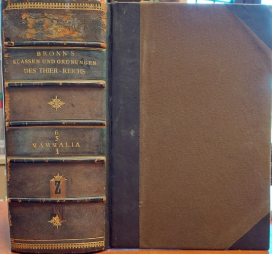 Klassen und Ordnungen des Thier-Reichs  - Mammalia 1. (Az llatvilg osztlyai s rendjei  - Emlsk 1. nmet nyelven) 1877.