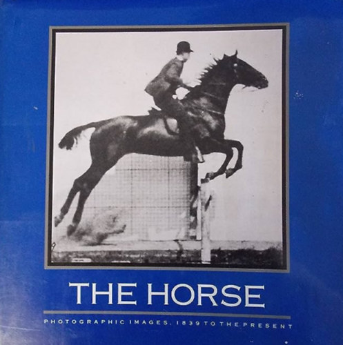 The Horse - Photographic Images