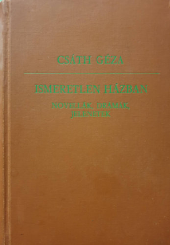 Ismeretlen hzban I.