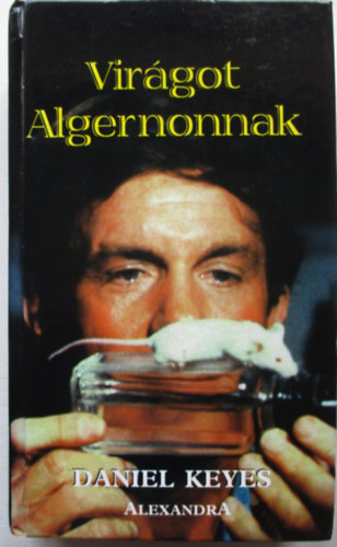 Daniel Keyes - Virgot Algernonnak