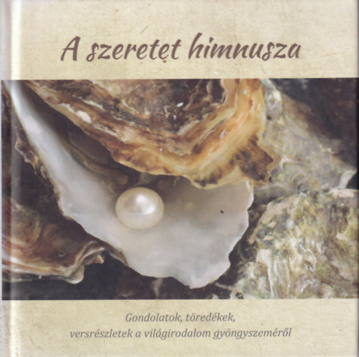 A szeretet himnusza (A szeretet mvszete a biblia tkrben)