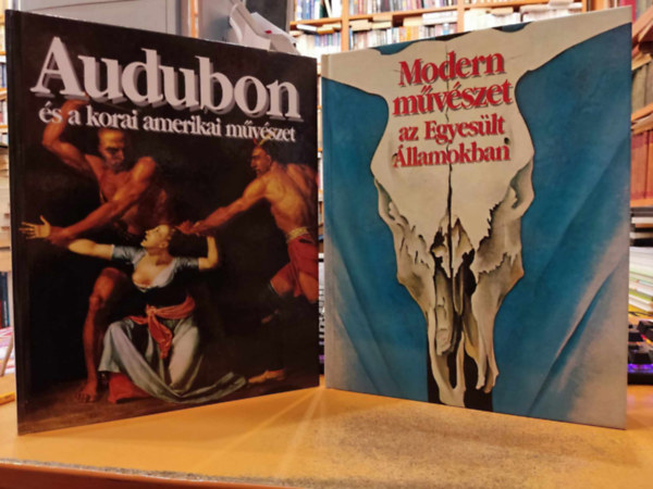 2 db Modern mvszet az Egyeslt llamokban + Audubon s a korai amerikai mvszet
