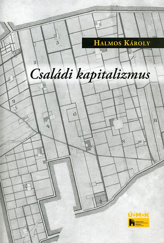 Csaldi kapitalizmus