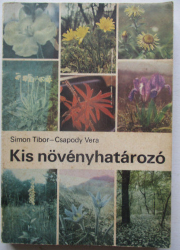 Kis nvnyhatroz