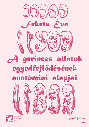 A gerinces llatok egyedfejldsnek anatmiai alapjai