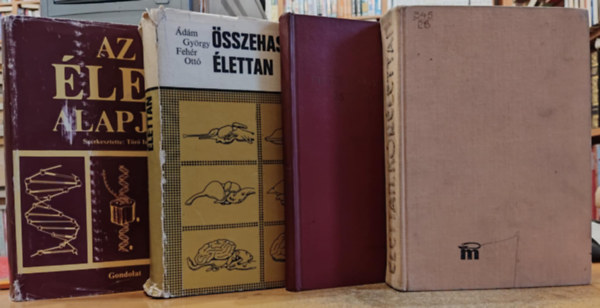 4 db lettan - Krlettan + lattani gyakorlatok s bemutatsok + sszehasonlt lettan + Az let alapjai