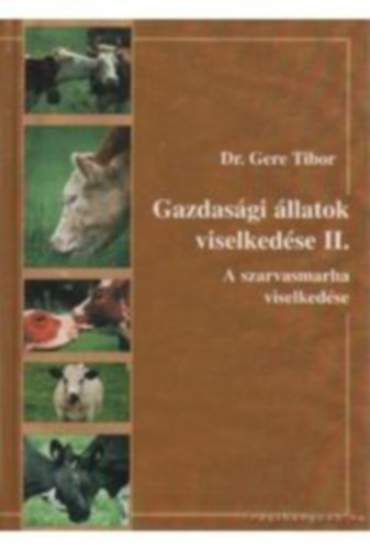 Gazdasgi llatok viselkedseII-A szarvasmarha viselkedse