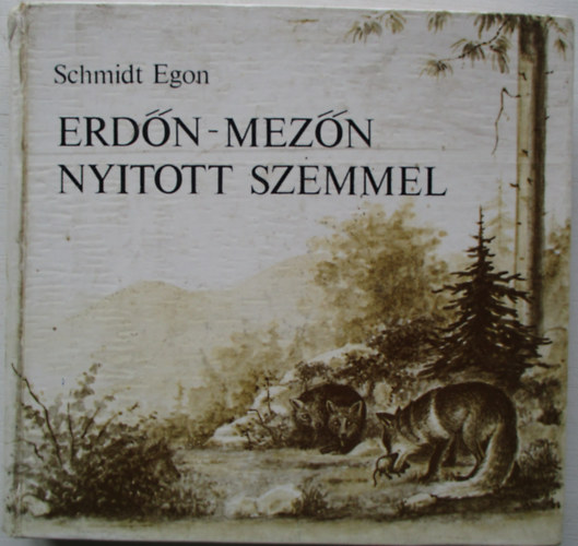 Erdn-mezn nyitott szemmel