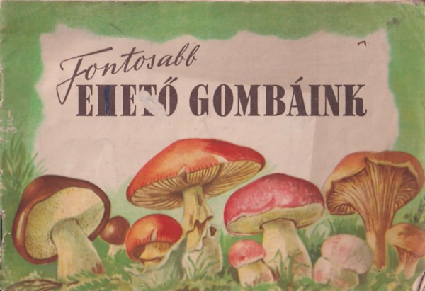 Fontosabb ehet gombink