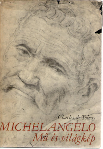 Michelangelo: M s vilgkp
