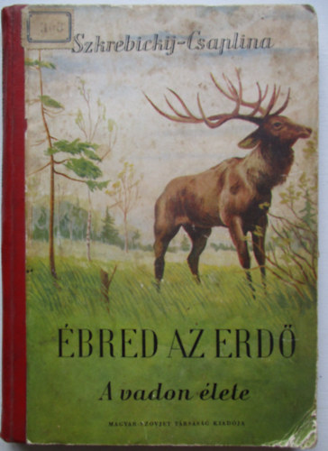 bred az erd (a vadon lete)