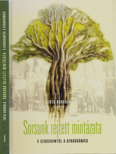 Csaldfnk - Sorsunk rejtett mintzata