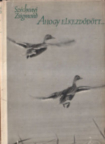 Ahogy elkezd�d�tt...