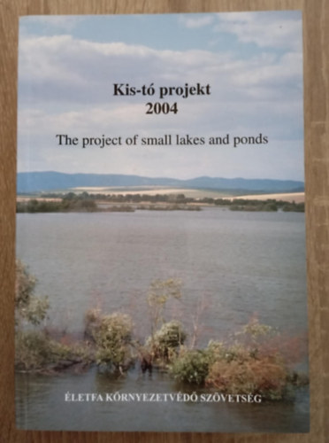 Kis-t projekt 2004