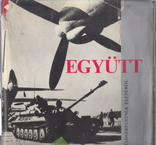 Egytt - Kpek a Varsi Szerzds tagllamai hadseregeinek letbl