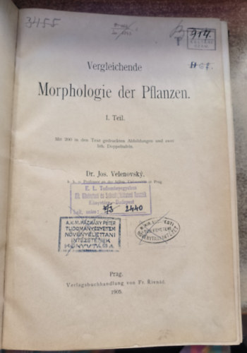 Vergleichende Morphologie der Pflanzen ("A nvnyek sszehasonlt morfolgija" nmet nyelven) (1905)