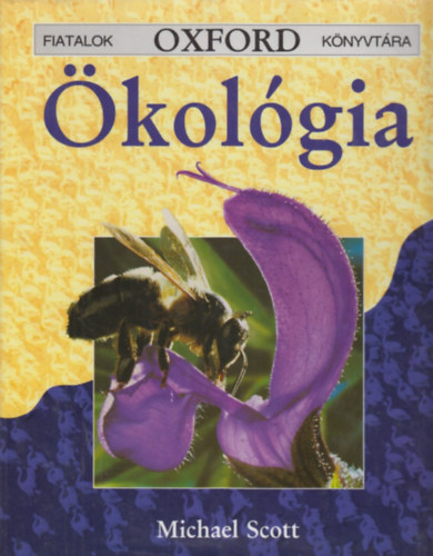 kolgia - Fiatalok OXFORD Knyvtra