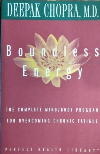Boundless Energy