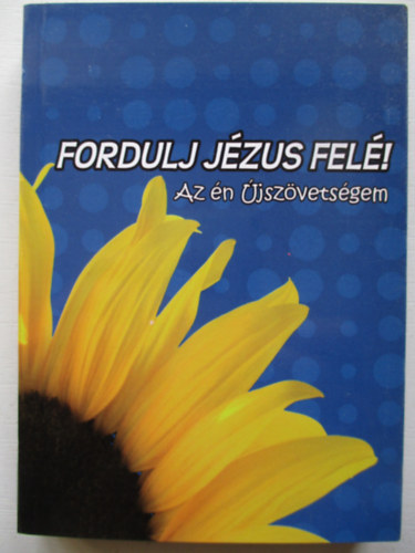 Fordulj Jzus fel! - Az n jszvetsgem