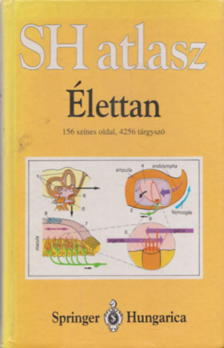 lettan (SH atlasz)