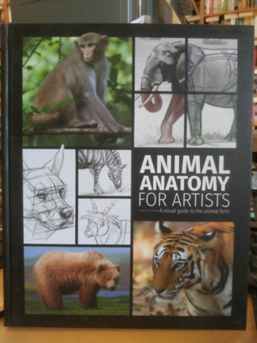 Animal Anatomy for Artist - A visual guide to the animal form