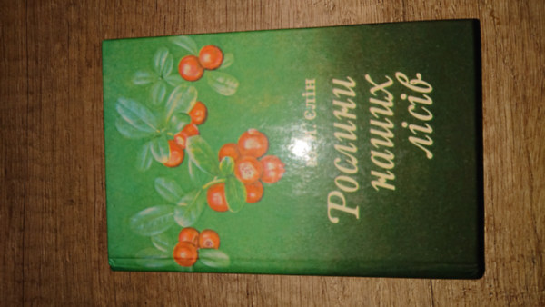 Yelin - ??????? ????? ?????" (N�v�nyek erdeinkben)