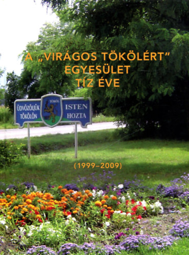 A "Virgos Tklrt" Egyeslet tz ve (1999-2009)
