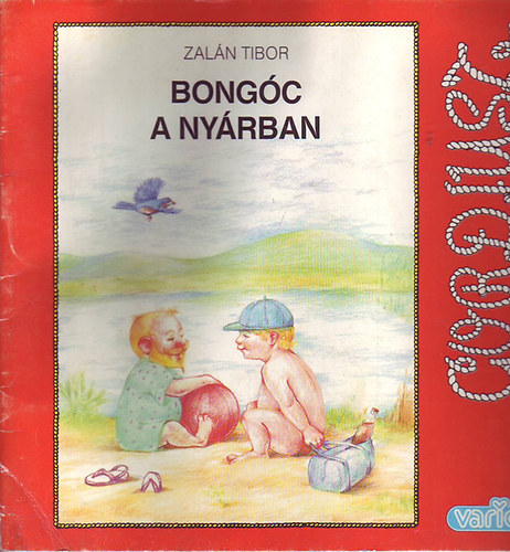 Bongc a nyrban