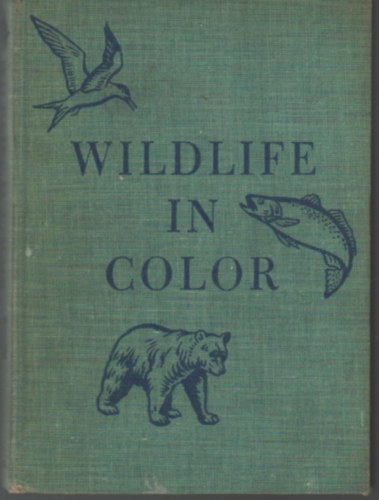 Wildlife in color