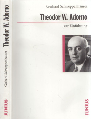 Theodor W. Adorno zur Einfhrung