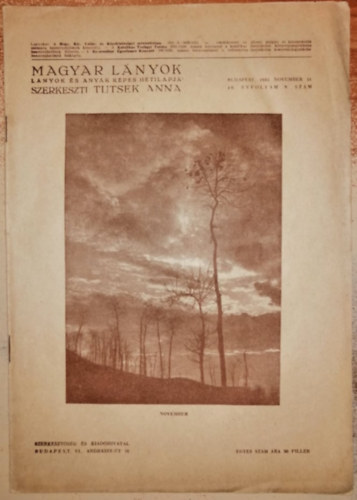 Magyar Lnyok - Lnyok s anyk kpes hetilapja 1942 (49 vf. 8. szm)