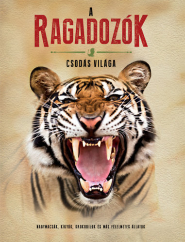 A ragadozk csods vilga