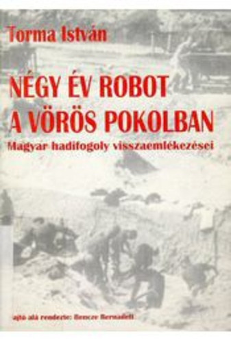 Ngy v robot a vrs pokolban: Magyar hadifogoly visszaemlkezsei