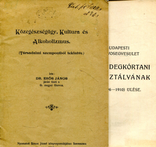 K�zeg�szs�g�gy, Kult�ra �s Alkoholizmus - A budapesti kir. Orvosegyes�let Elme- �s idegoszt�ly�nak sz�u �l�se (1896-1910)